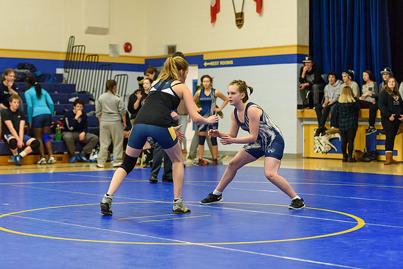 Wrestling DHS 011516-3-2165