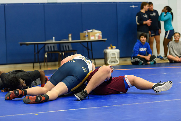 Wrestling DHS 011516-3-3155