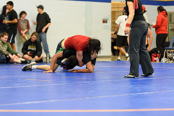 Wrestling DHS 011516-3-3726