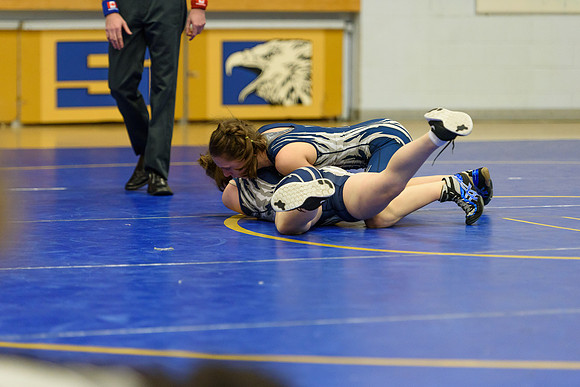 Wrestling DHS 011516-3-5697