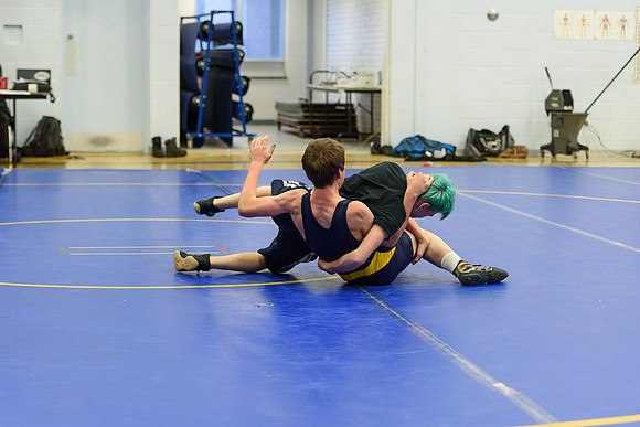 Wrestling DHS 011516-3-5380