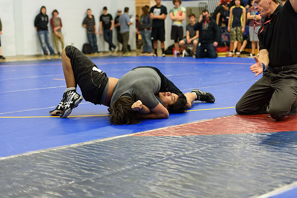Wrestling DHS 011516-3-3605