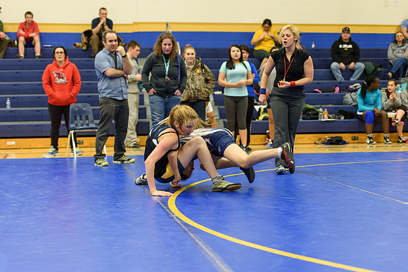 Wrestling DHS 011516-3-4001