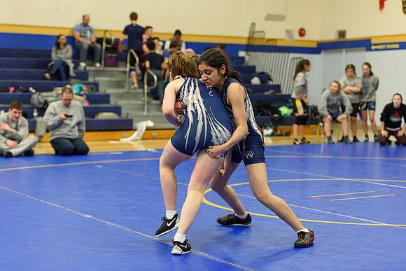 Wrestling DHS 011516-3-3196