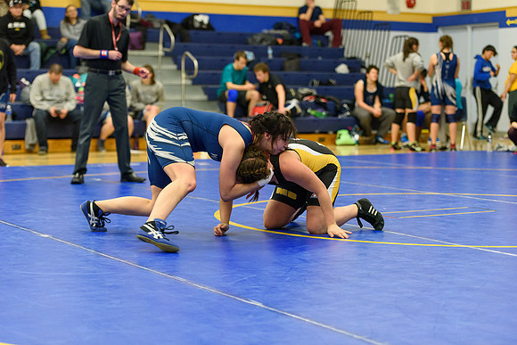 Wrestling DHS 011516-3-3473
