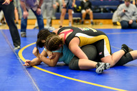 Wrestling DHS 011516-3-2372