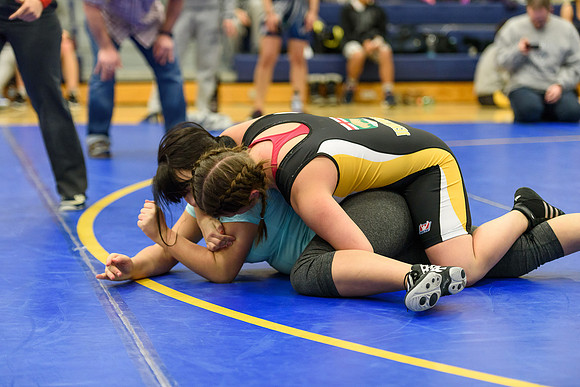 Wrestling DHS 011516-3-2372