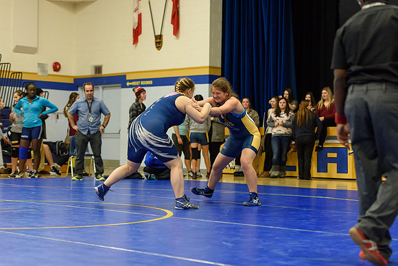 Wrestling DHS 011516-3-3508