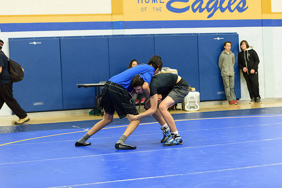 Wrestling DHS 011516-3-2738