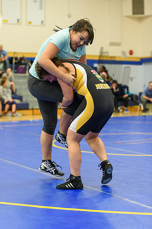 Wrestling DHS 011516-3-2366