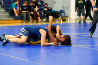 Wrestling DHS 011516-3-2341
