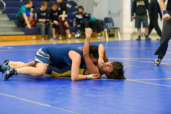 Wrestling DHS 011516-3-2341