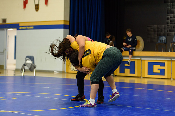 Wrestling DHS 011516-3-4430