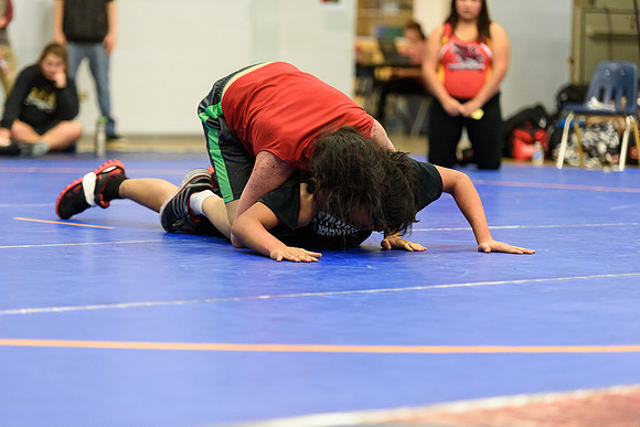 Wrestling DHS 011516-3-3770