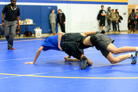 Wrestling DHS 011516-3-2742