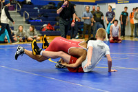 Wrestling DHS 011516-3-2596