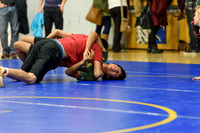 Wrestling DHS 011516-3-2916