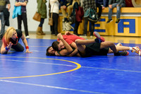 Wrestling DHS 011516-3-2925