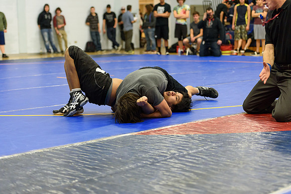 Wrestling DHS 011516-3-3606