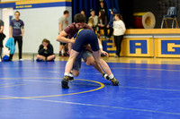 Wrestling DHS 011516-3-2784
