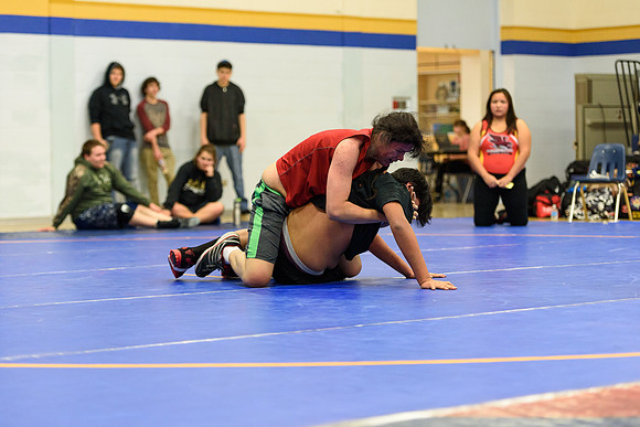 Wrestling DHS 011516-3-3768