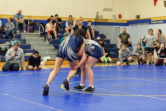 Wrestling DHS 011516-3-3311