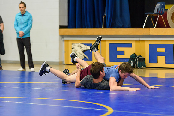 Wrestling DHS 011516-3-2954