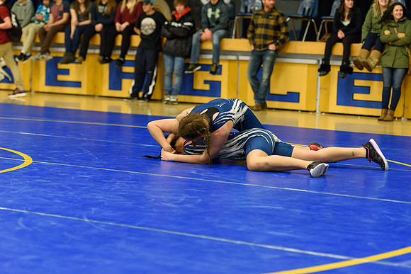 Wrestling DHS 011516-3-4163