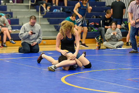 Wrestling DHS 011516-3-4121