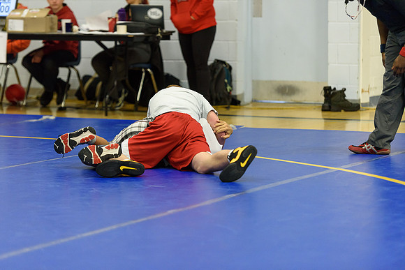 Wrestling DHS 011516-3-4503