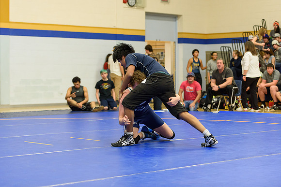 Wrestling DHS 011516-3-2539