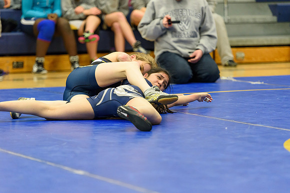 Wrestling DHS 011516-3-4054