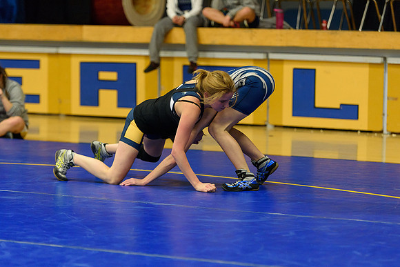 Wrestling DHS 011516-3-4970