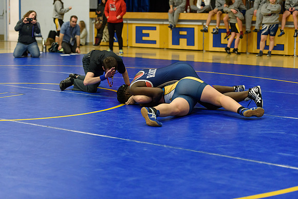 Wrestling DHS 011516-3-5212