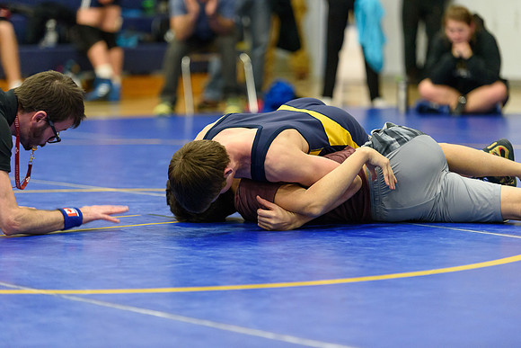 Wrestling DHS 011516-3-2820