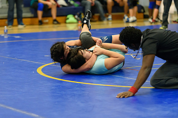 Wrestling DHS 011516-3-4345