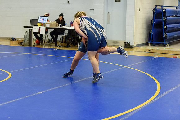Wrestling DHS 011516-3-5861