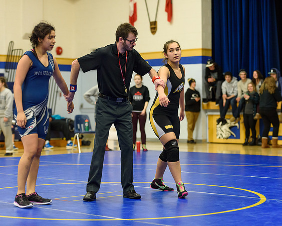 Wrestling DHS 011516-3-2314
