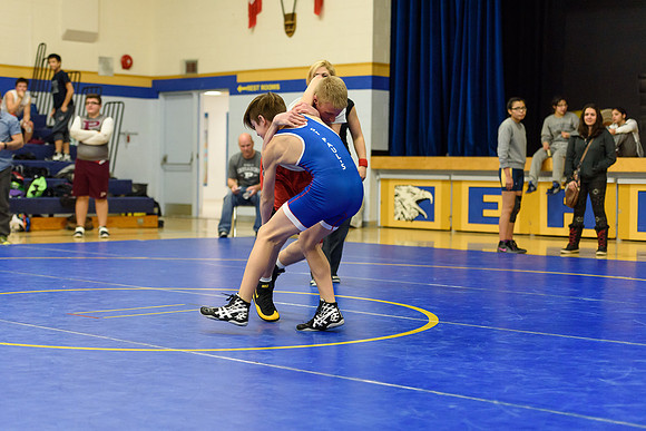 Wrestling DHS 011516-3-5256