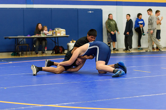 Wrestling DHS 011516-3-2931