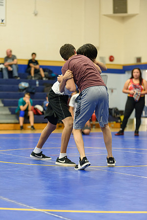 Wrestling DHS 011516-3-3643