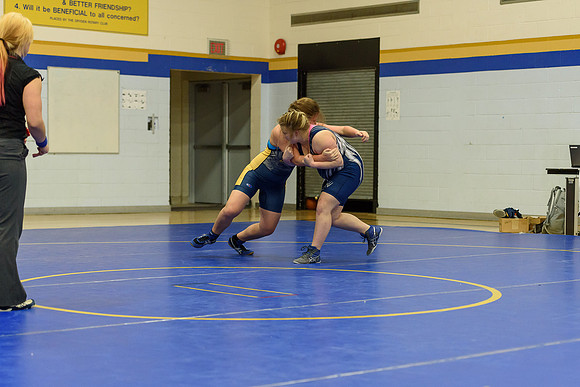 Wrestling DHS 011516-3-5835