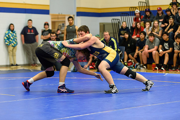 Wrestling DHS 011516-3-2187