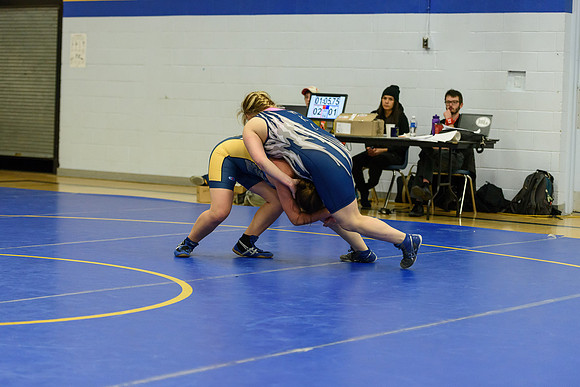 Wrestling DHS 011516-3-5877