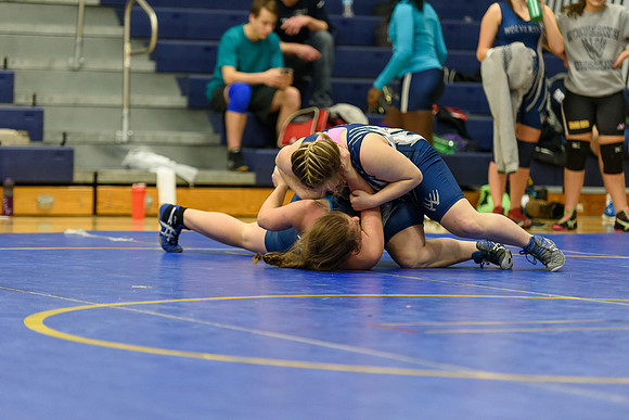 Wrestling DHS 011516-3-3520