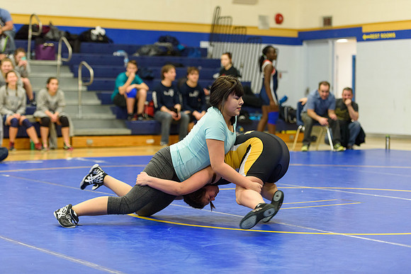 Wrestling DHS 011516-3-2403