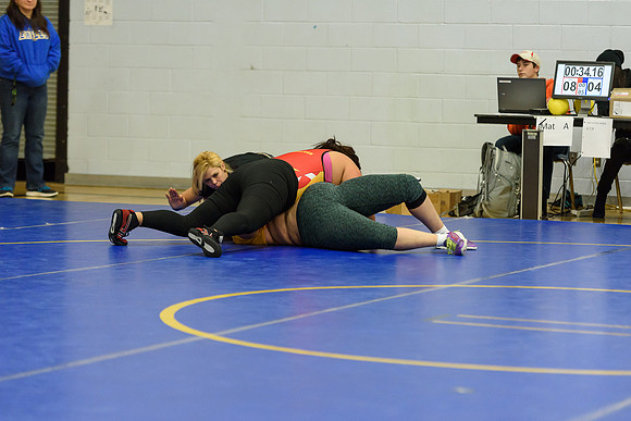 Wrestling DHS 011516-3-5962