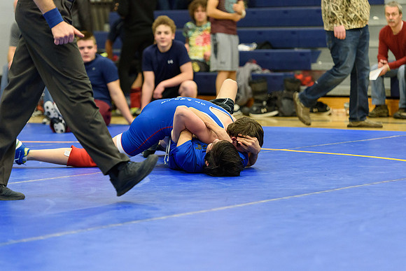 Wrestling DHS 011516-3-3375