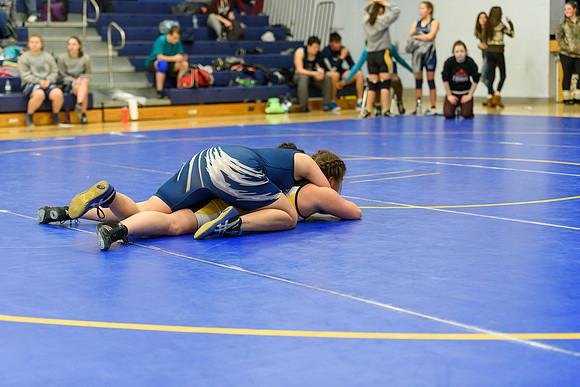 Wrestling DHS 011516-3-3448