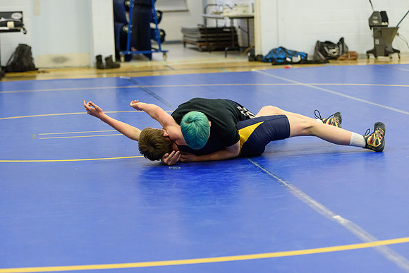Wrestling DHS 011516-3-5381
